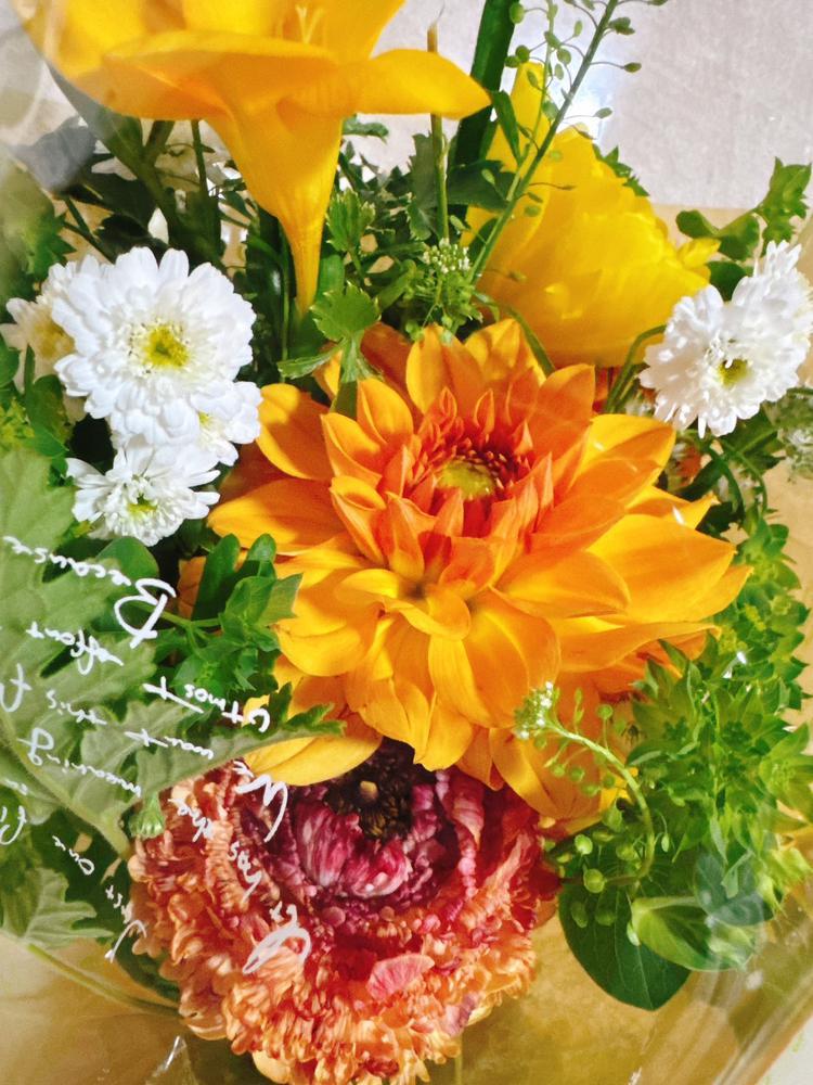 こんばんは٩(๑❛ᴗ❛๑)۶