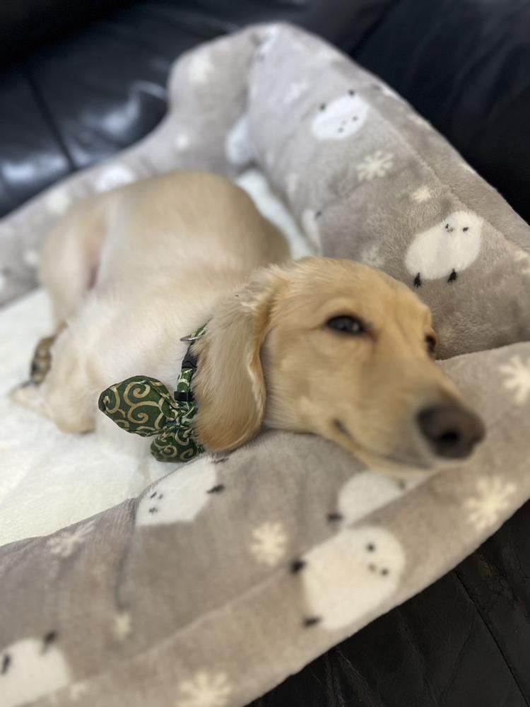 しゅ⭐️⭐️⭐️