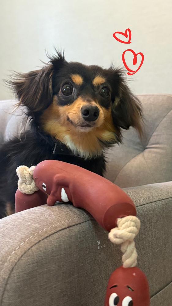 さぁ書いて行きますか•́ω•̀)?