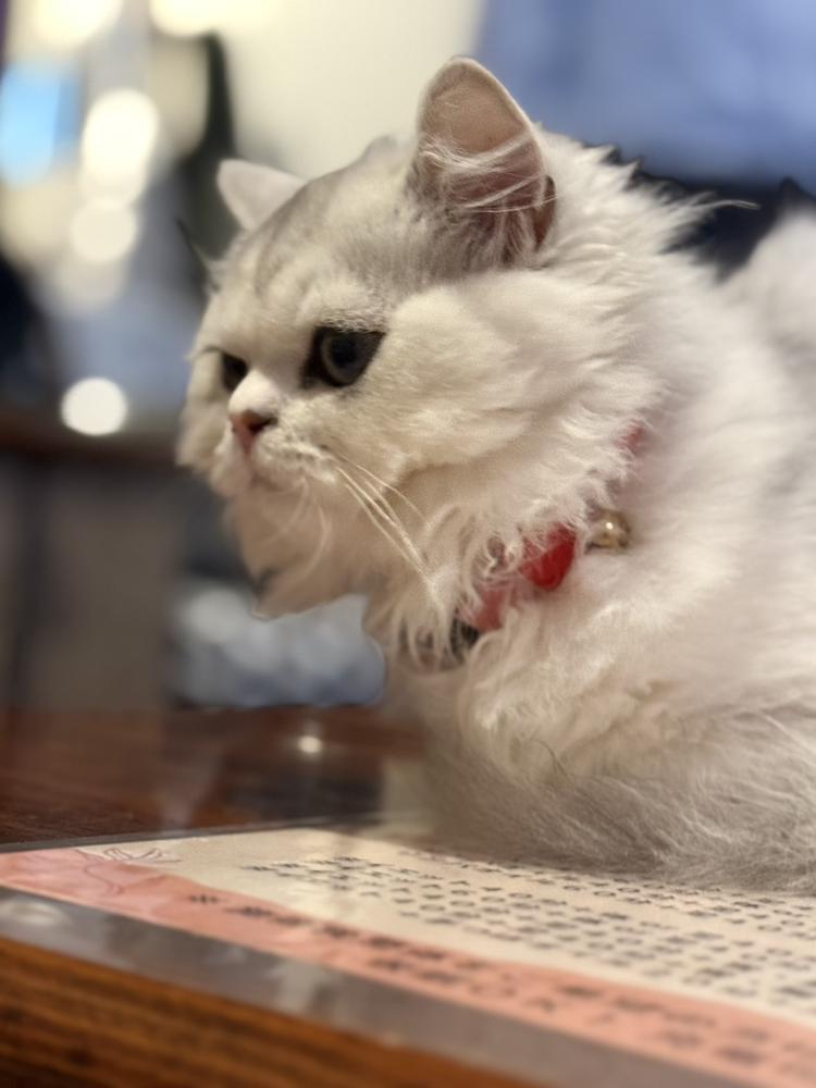 しゅっきんだよーん