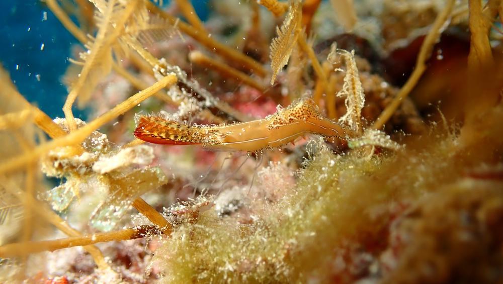 女の子が増えて選びたい放題