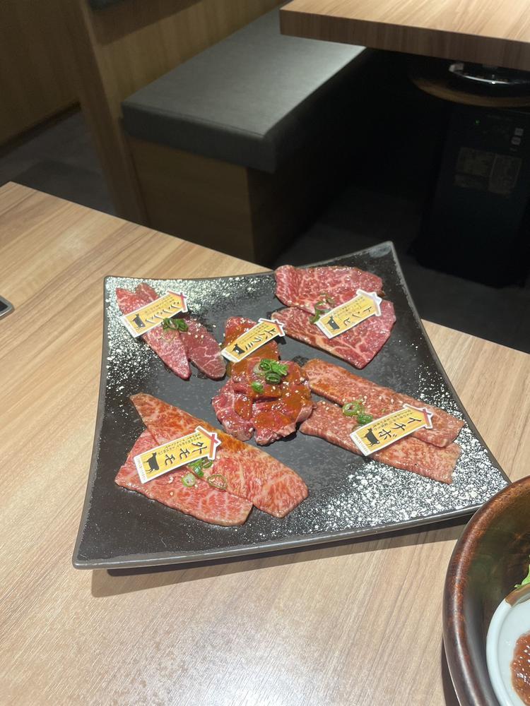 ♡ ••┈┈┈┈┈┈┈┈•• ♡