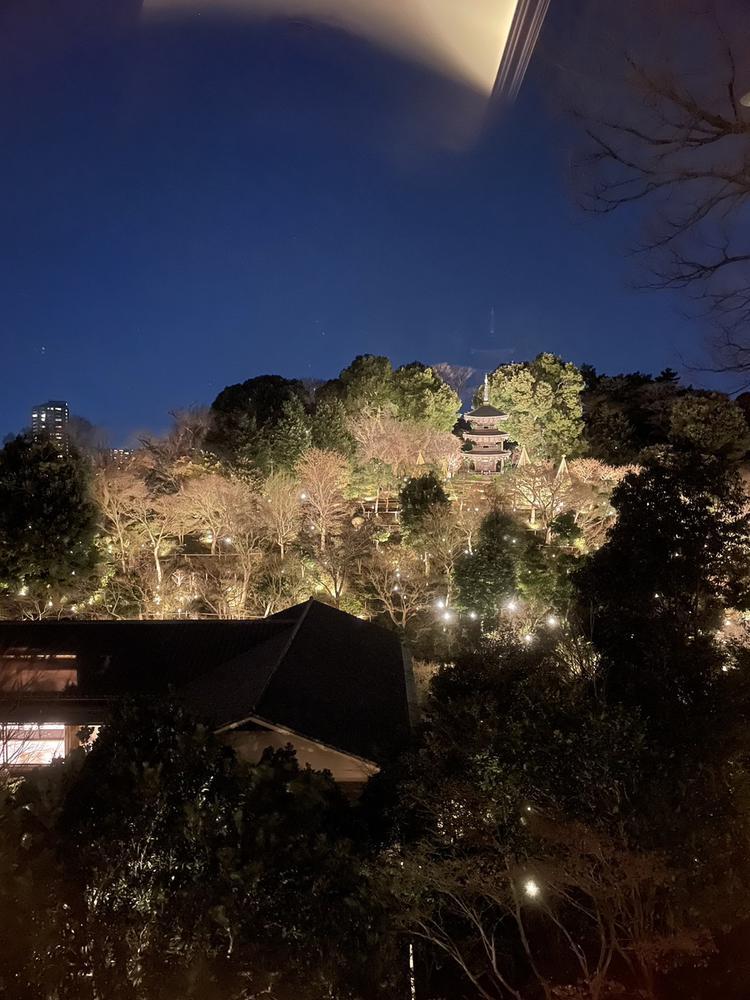 ♡ ••┈┈┈┈┈┈┈┈•• ♡