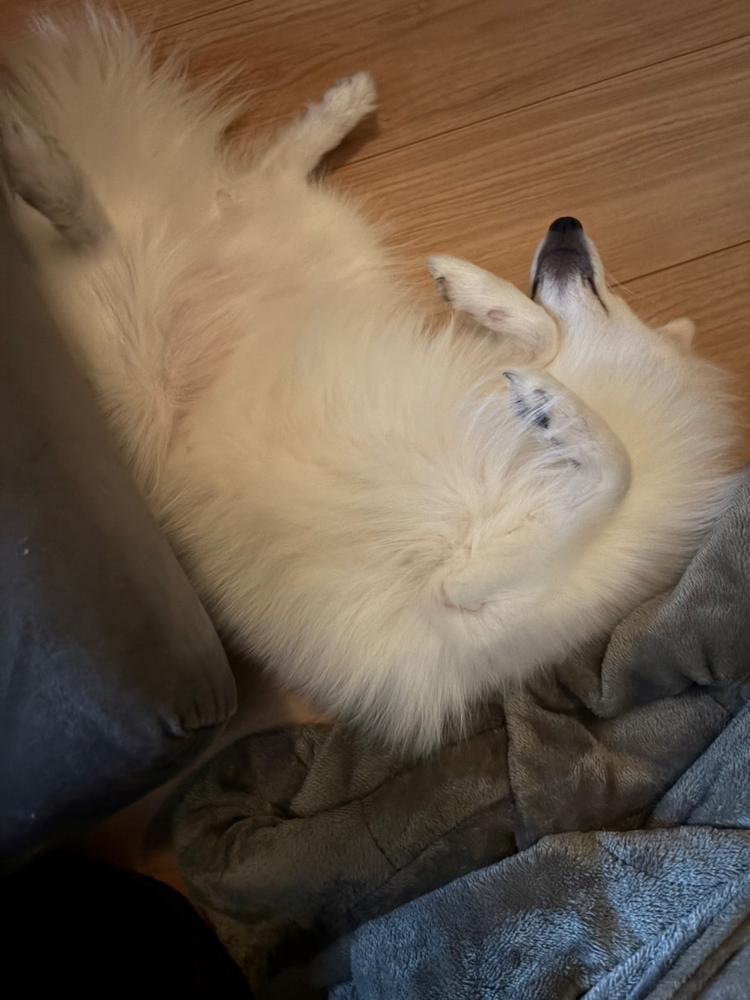 ჱ̒՞ ̳ᴗ ̫ ᴗ ̳՞꒱