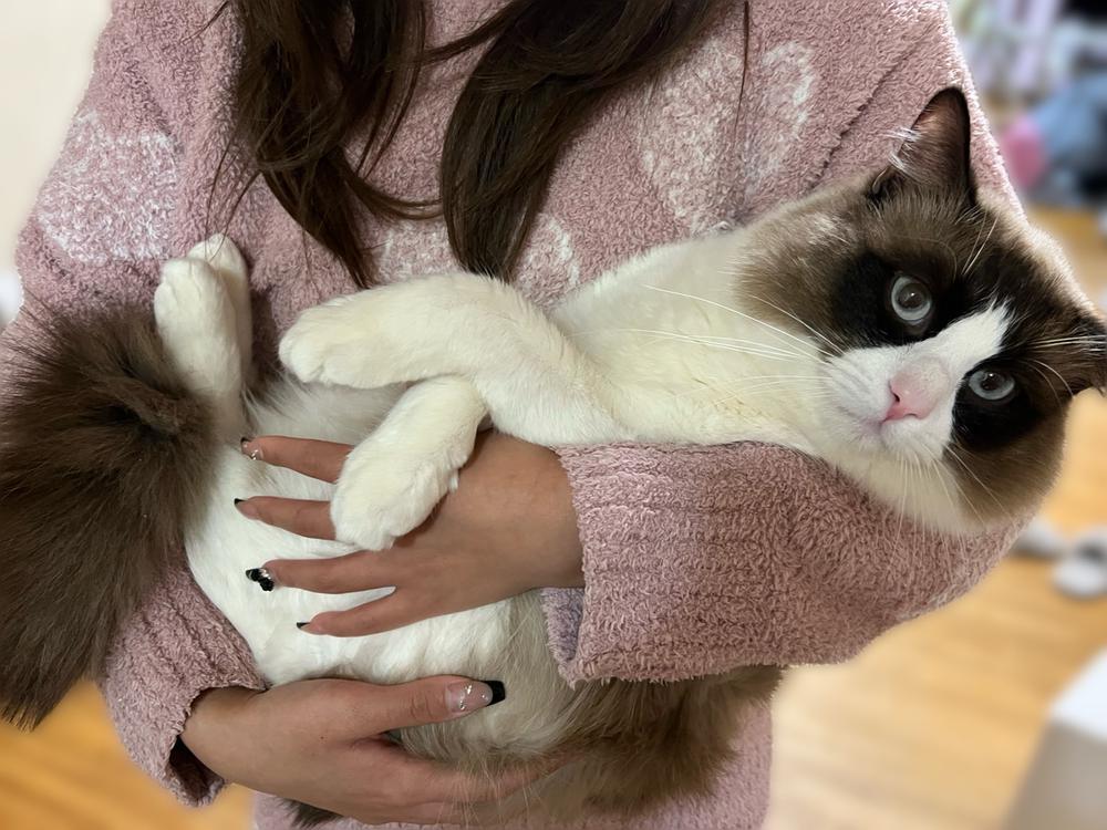 今日寒すぎだよ〜🥶