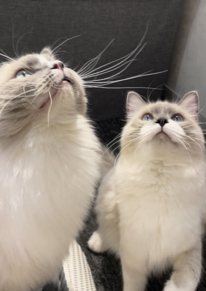 はっぴーばれんたいん♡🍫