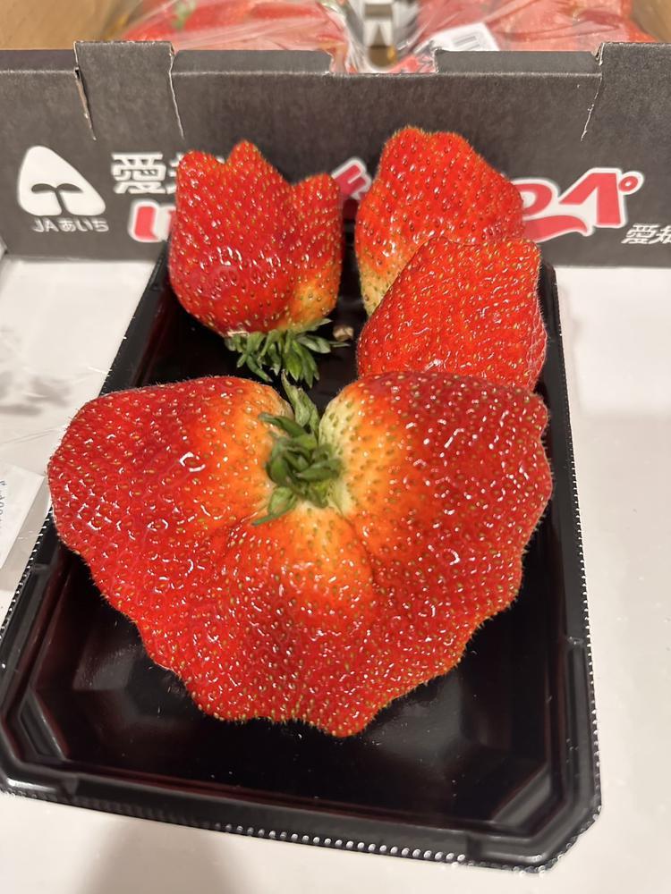 いちご🍓パート2