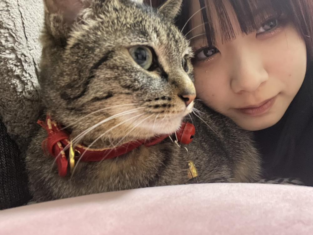 ねこの日^ ܸ.  ̫ .ܸ ^♡