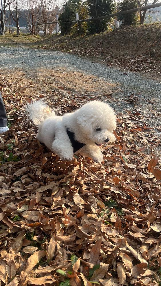 バレンタイン💕