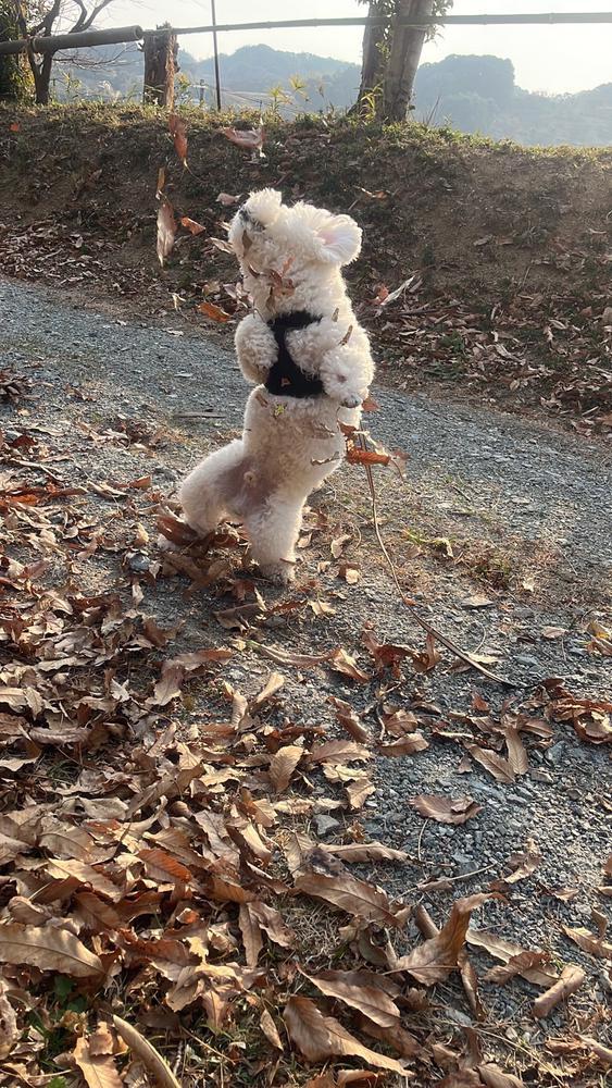 今日は２２時〜出勤してまーす！