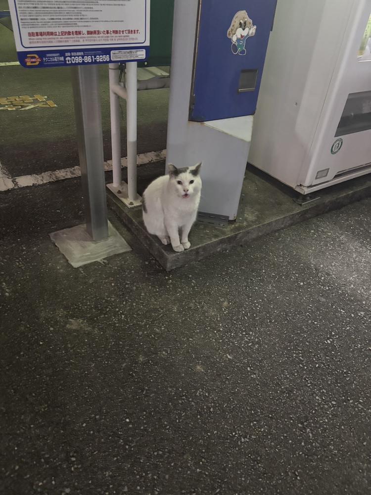 だんだんあったかくなってきたぁ！今日も出勤🩷