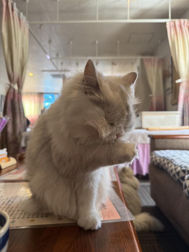 祈🙏🏽🙏🏽??笑