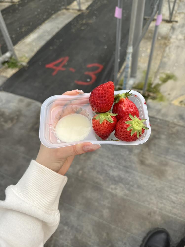 いちご狩り🍓