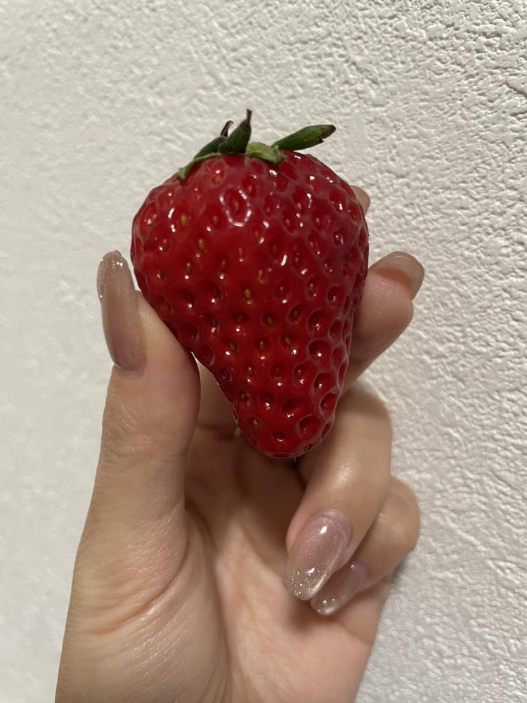 🍓