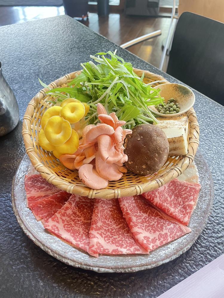 ♡ ••┈┈┈┈┈┈┈┈•• ♡