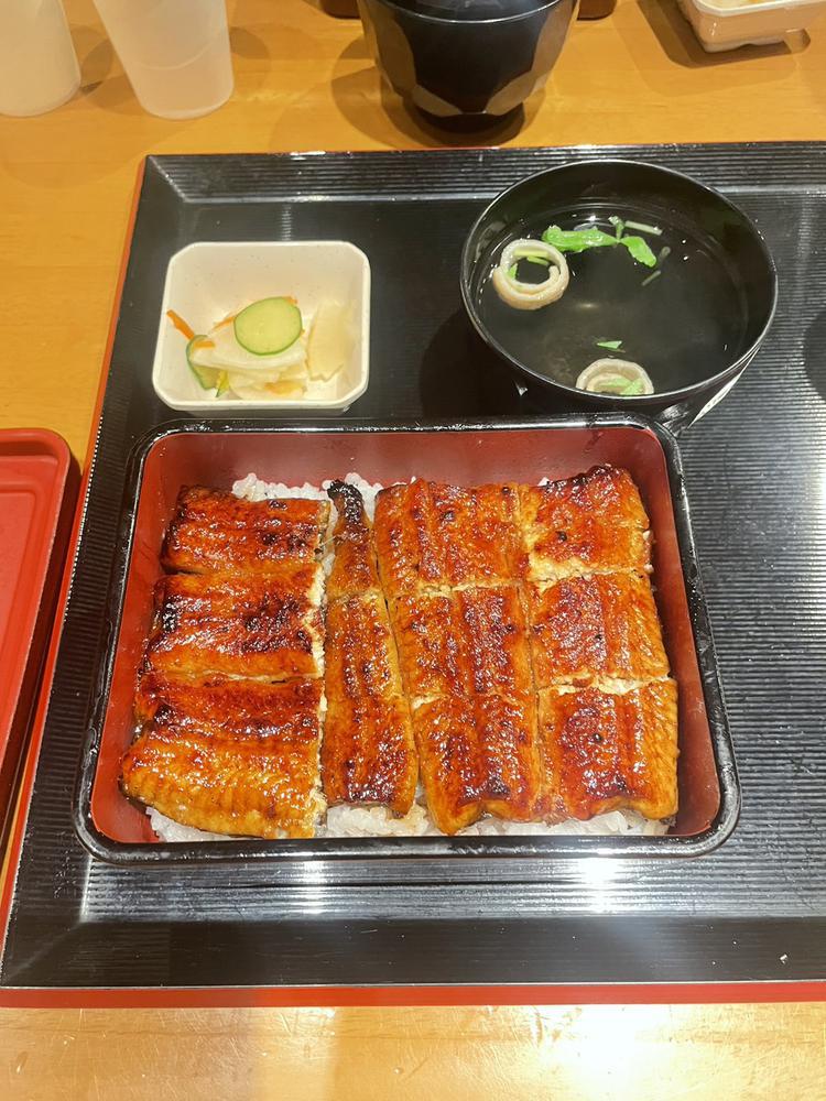 ♡ ••┈┈┈┈┈┈┈┈•• ♡