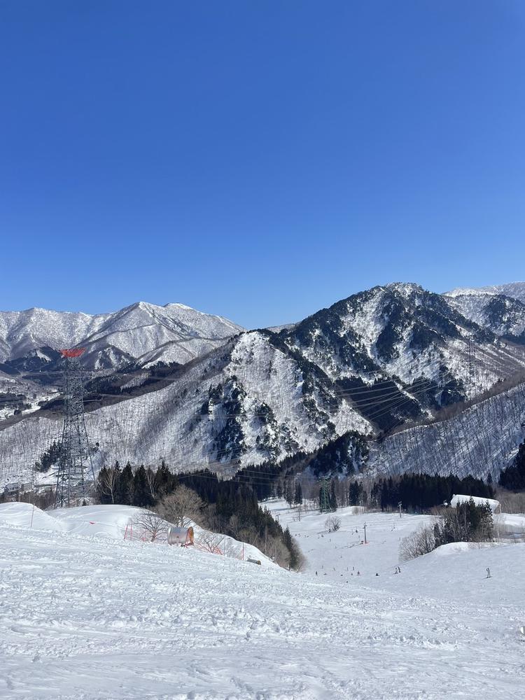 ♡ ••┈┈┈┈┈┈┈┈•• ♡