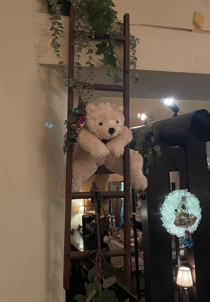 ♡ ••┈┈┈┈┈┈┈┈•• ♡