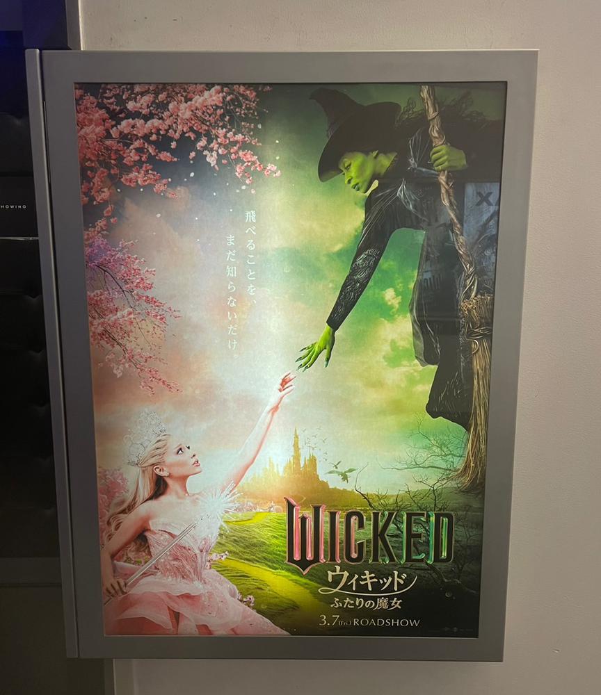 ♡ ••┈┈┈┈┈┈┈┈•• ♡