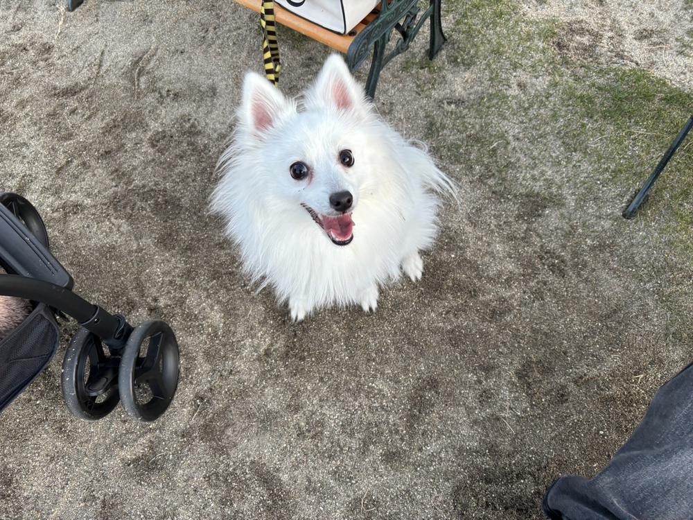 ɭ ɿჯլਕ゛Խ💘