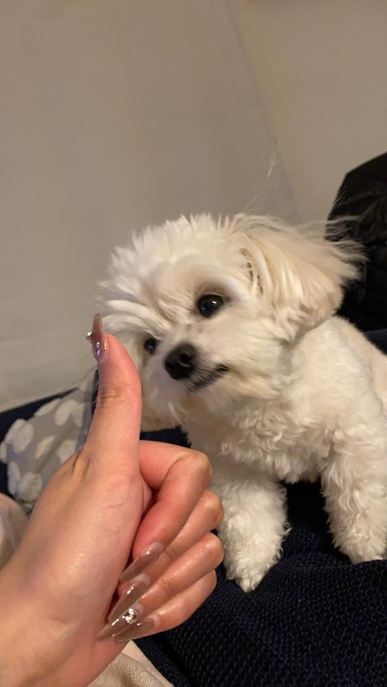 今日からまたお願いしますん