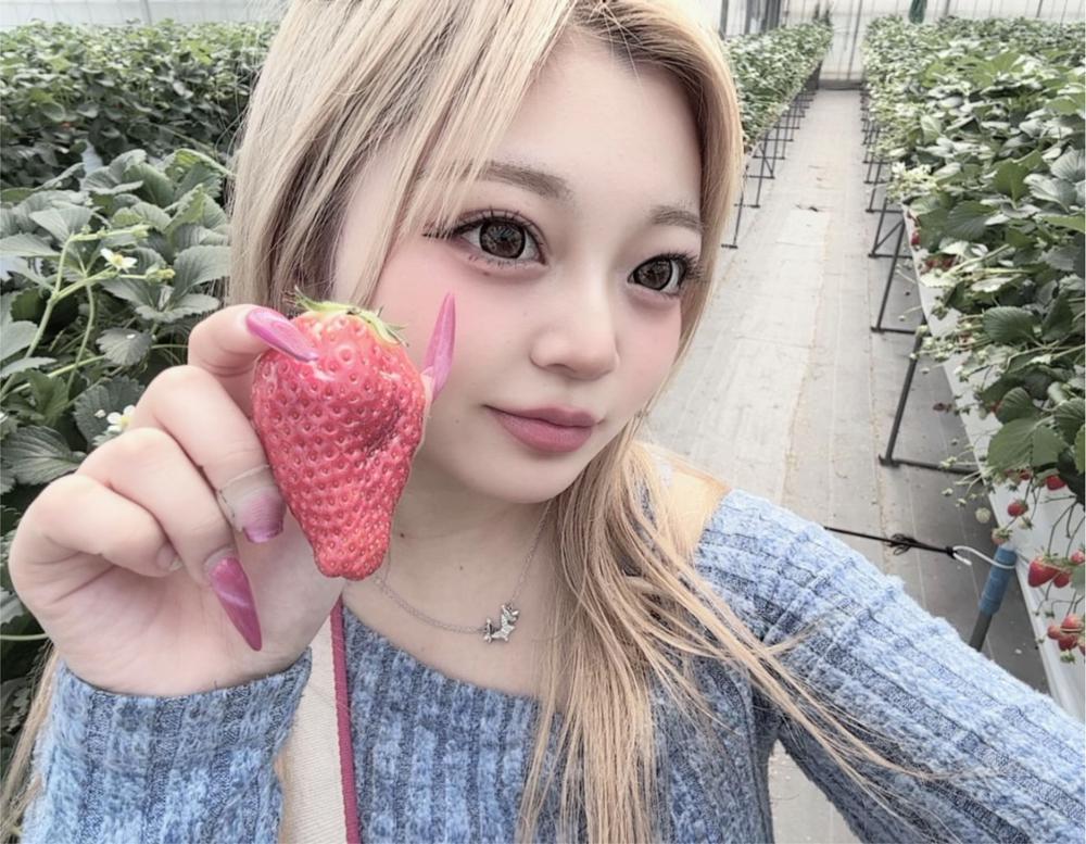 いちごがり🍓