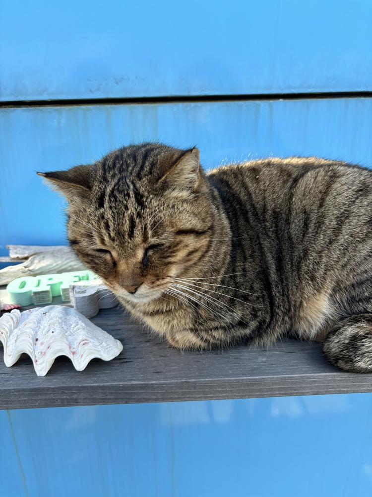 出勤日です🐱💕