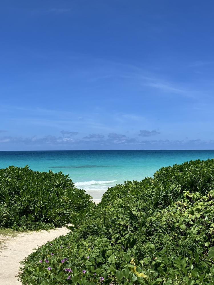 沖縄行きたい〜🏝️
