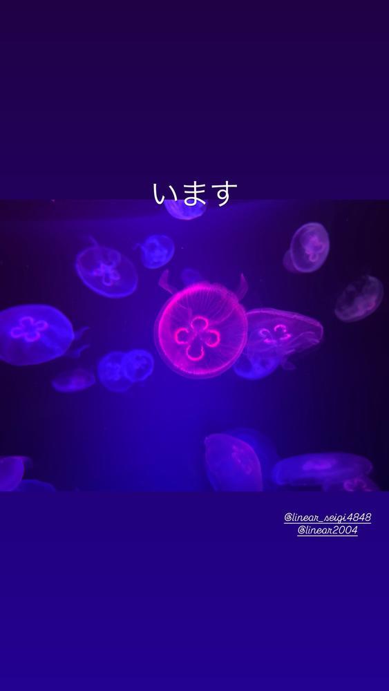 しゅっきんです！