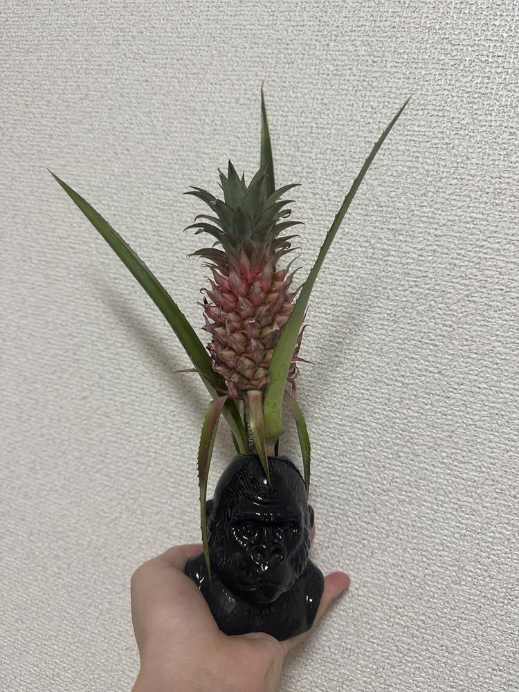 今週ラスト出勤🙆‍♀️