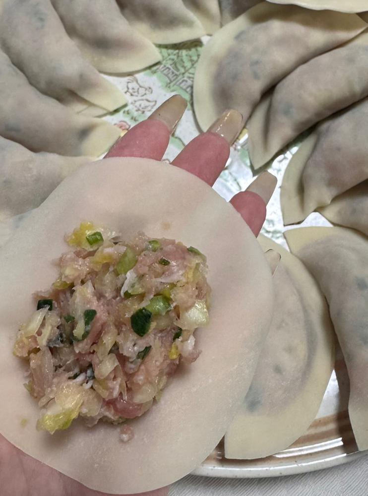 お休みは餃子🥟