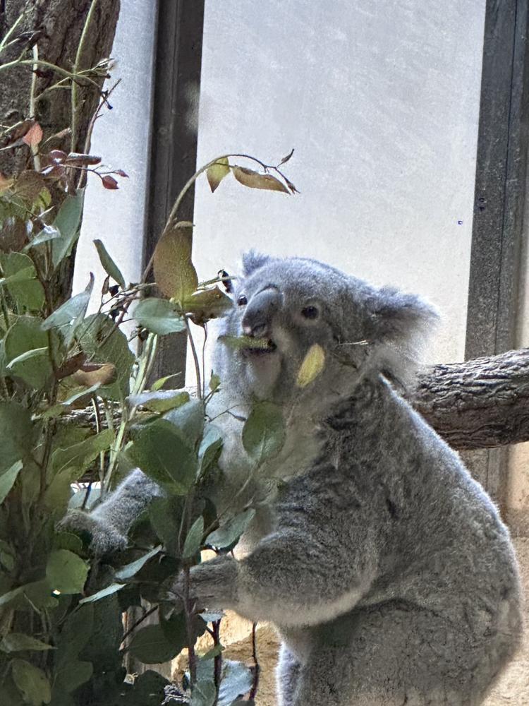 出勤しました！