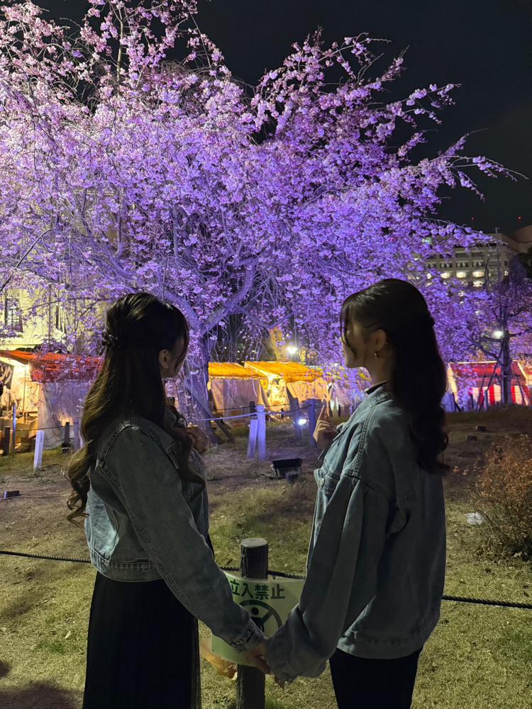 お花見2回目〜🌸