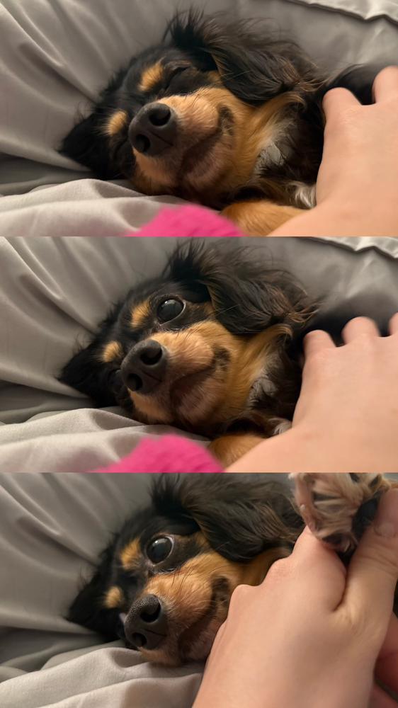 キュートアグレッシブ