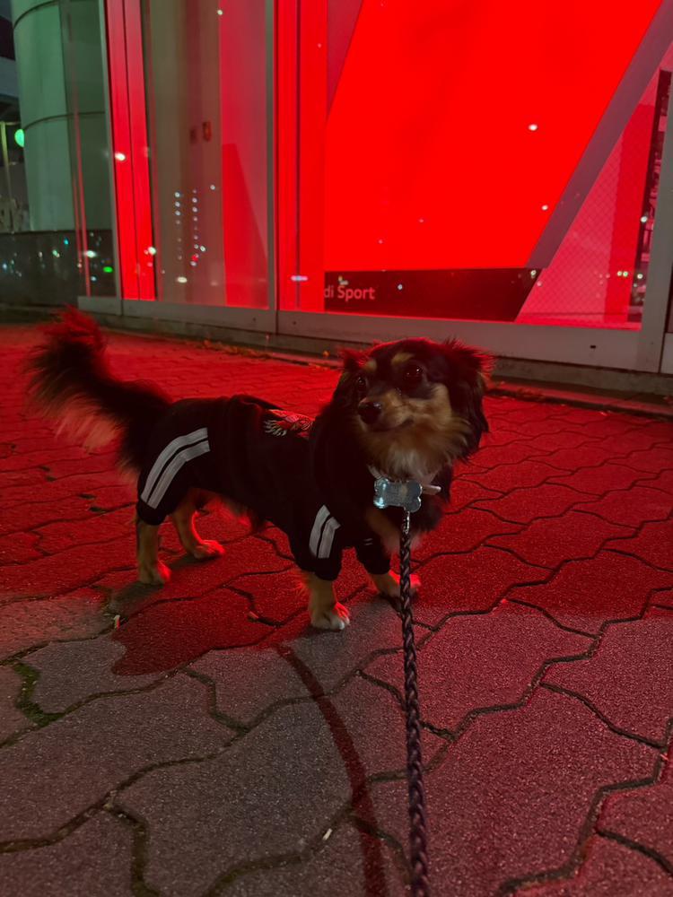 さみぃ、よぉん