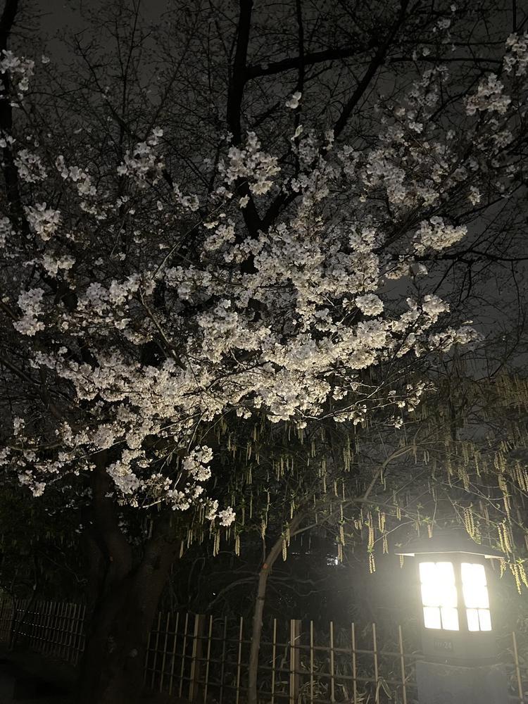 ♡ ••┈┈┈┈┈┈┈┈•• ♡