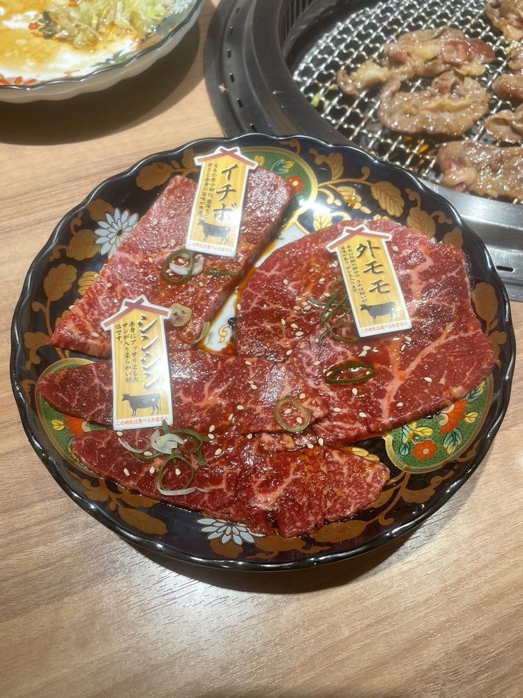 ♡ ••┈┈┈┈┈┈┈┈•• ♡