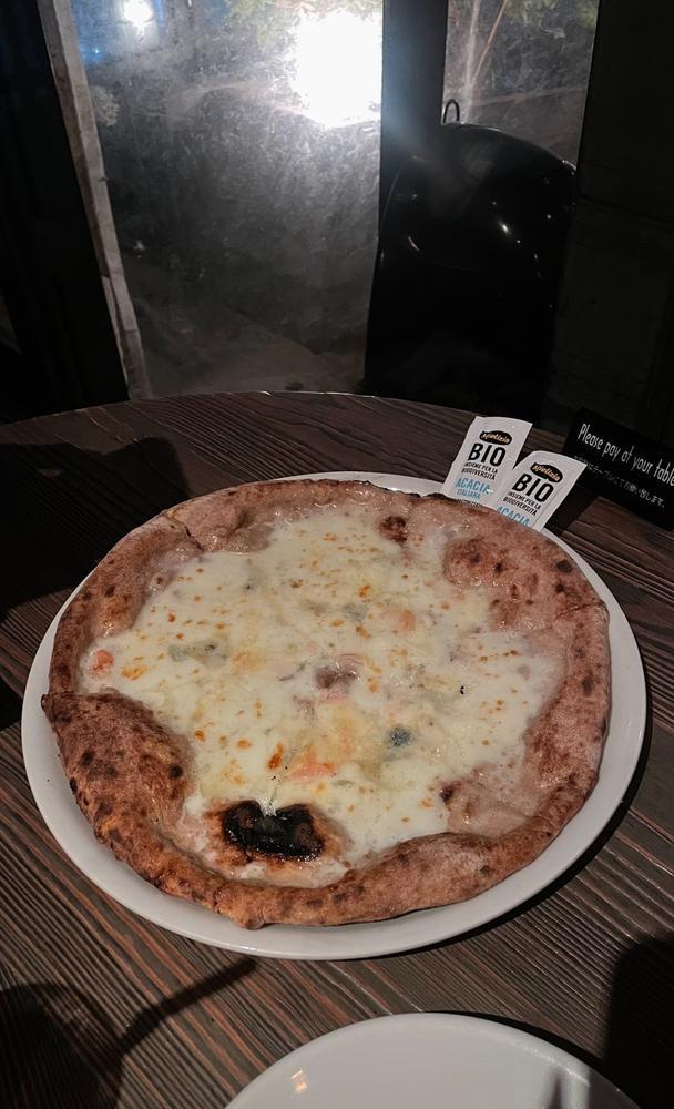 ♡ ••┈┈┈┈┈┈┈┈•• ♡