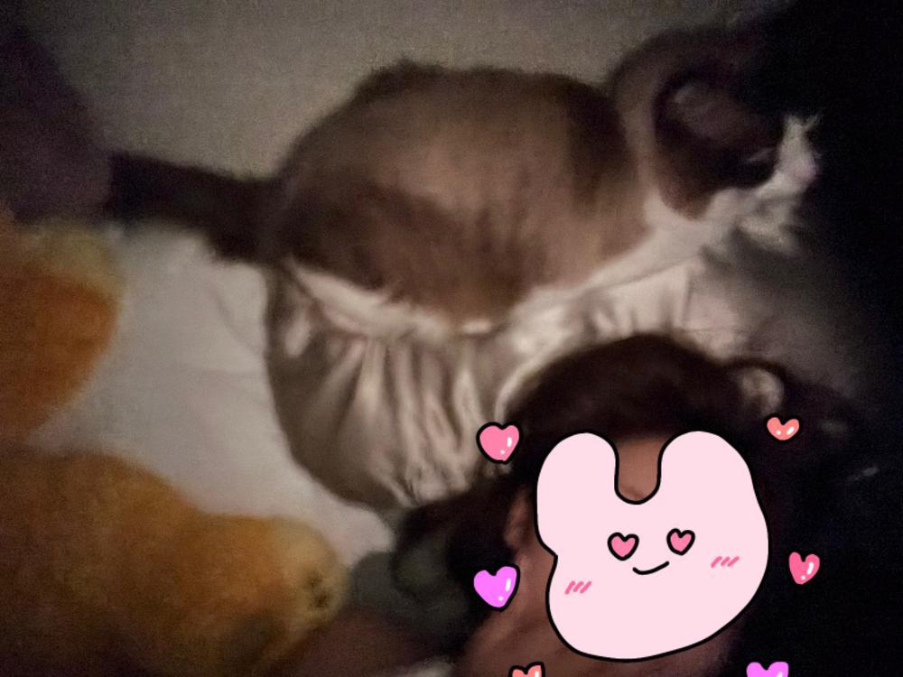 さいしゅうび！