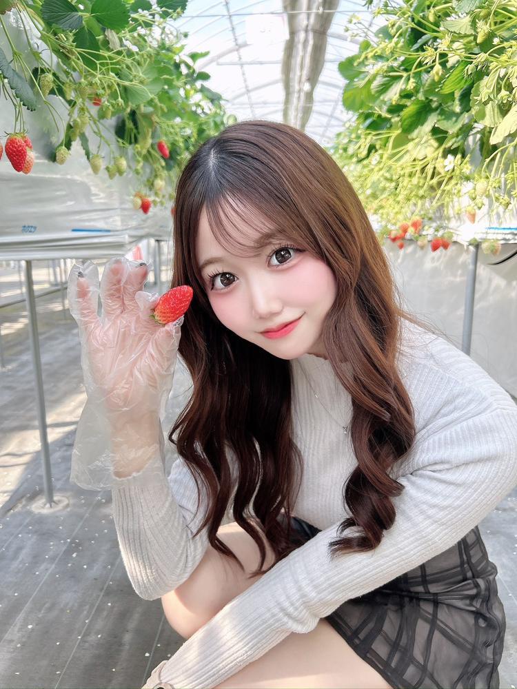 しゅっきんです！