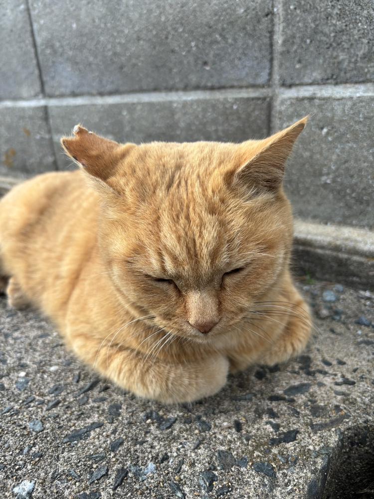 出勤日です🐱💕