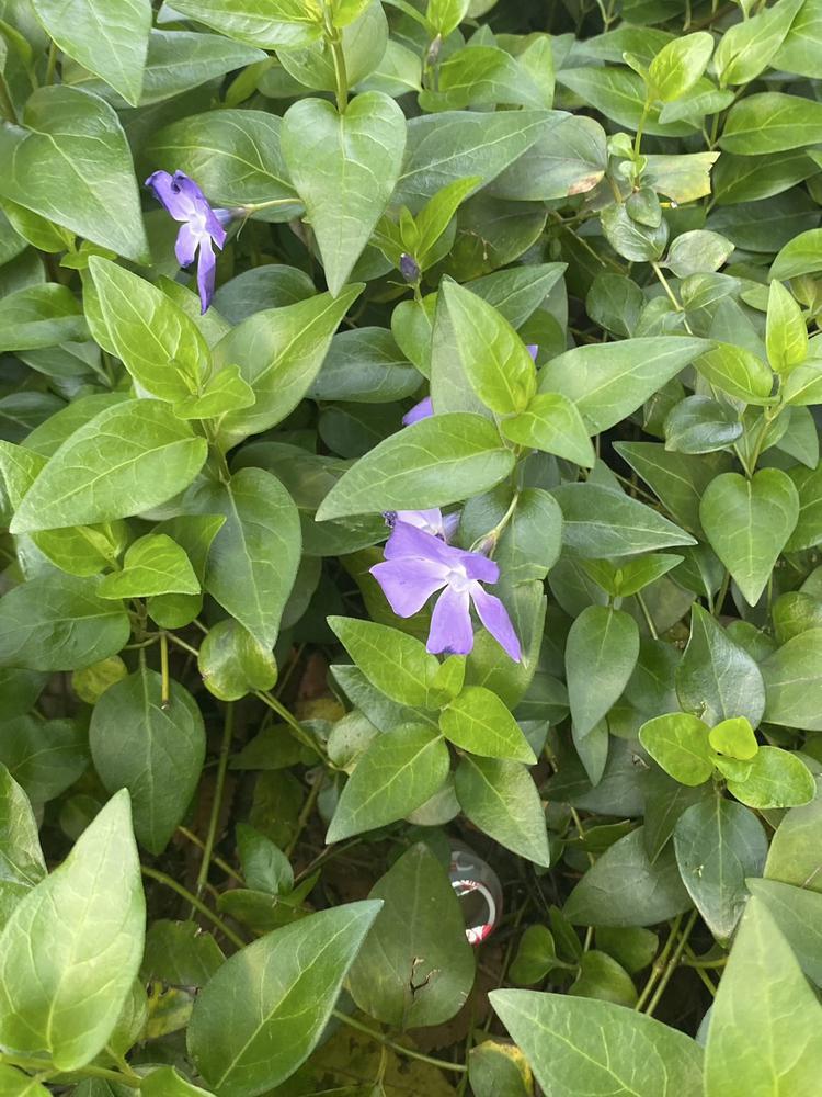 20時からです‼️