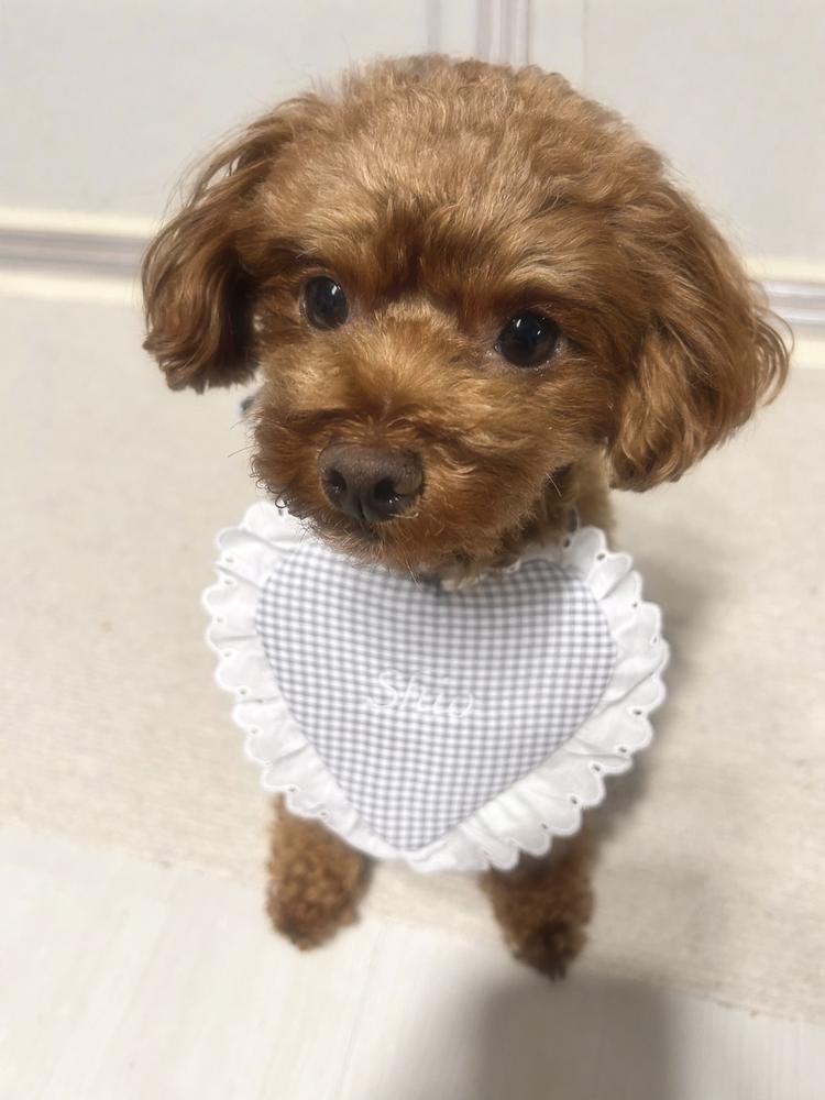 昨日はイライラ