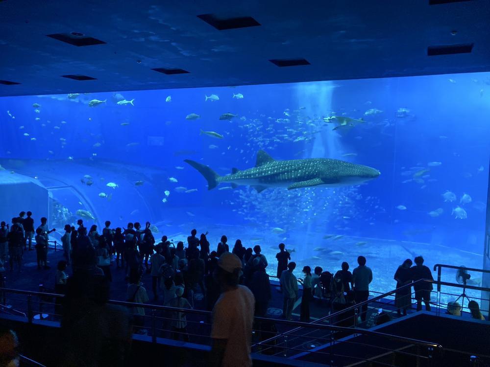 ♡こんばんは♡