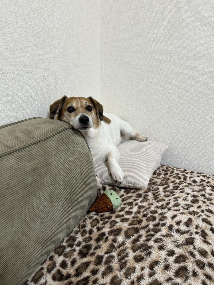 梅雨終われ〜☔️