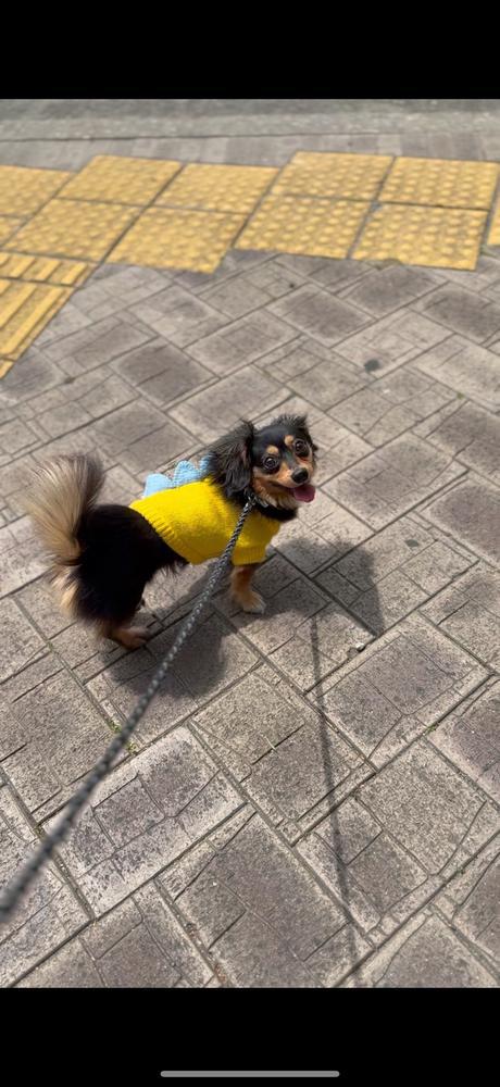 なぁきいてーやwww