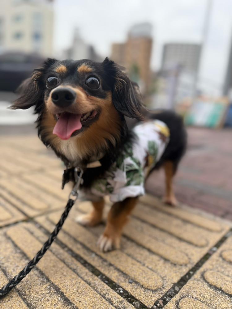 あついねーばてたね♡