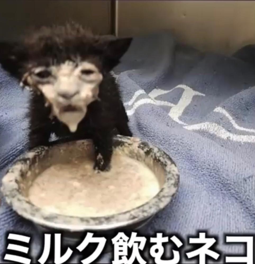 お気に入りの写真