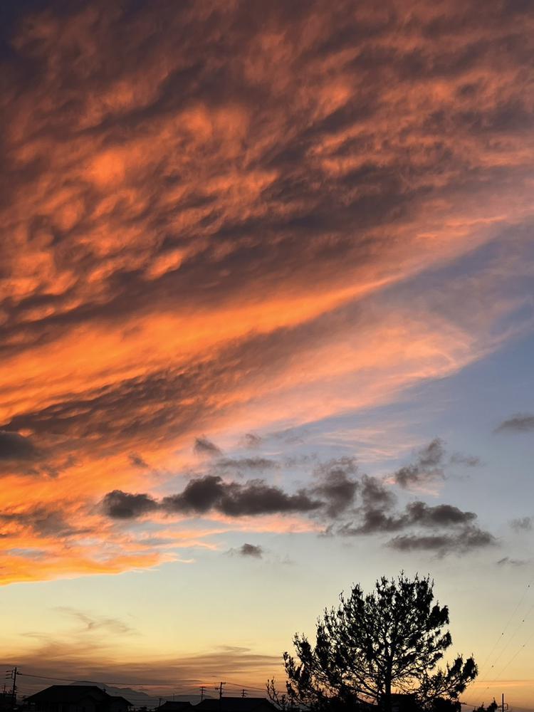 ワイシャツイベント