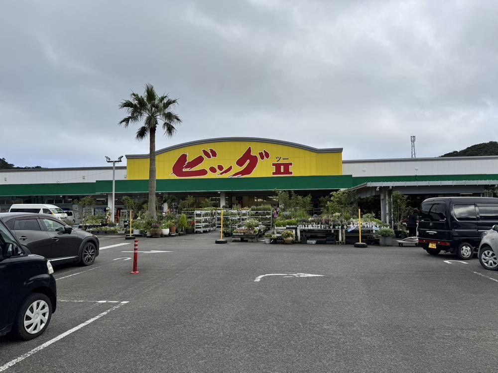 奄美大島に来てまーす